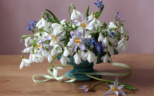 марина филатова фотонатюрморты с подснежниками цветами