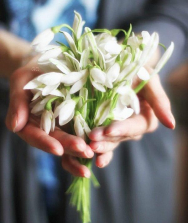 букетик подснежников