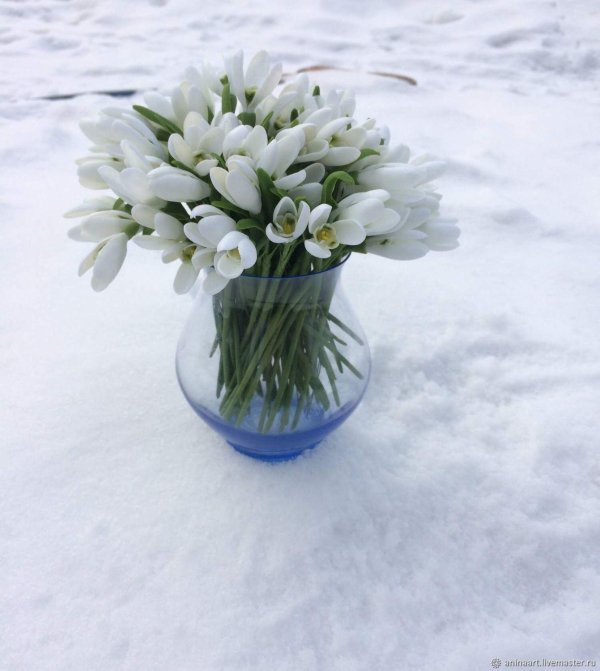 коваль подснежники