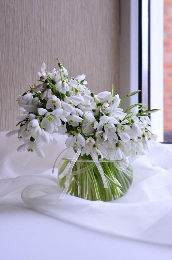 доброе утро с подснежниками