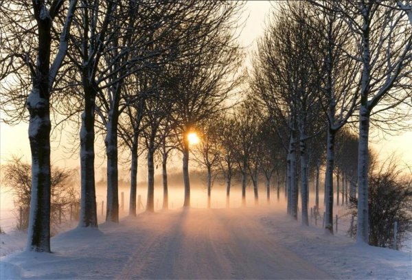 Погода зима