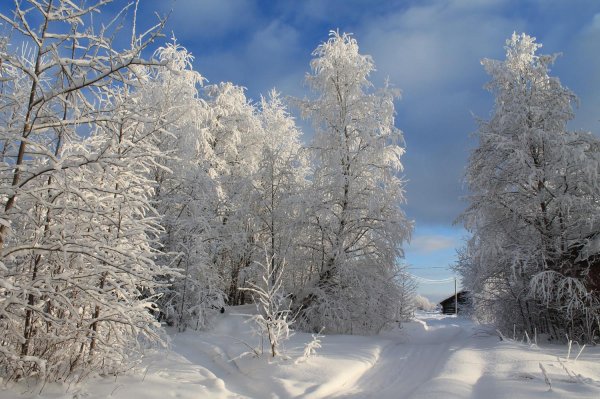 Погода зима