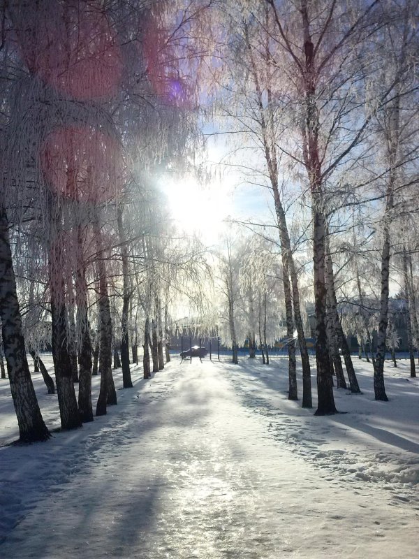 Погода зима