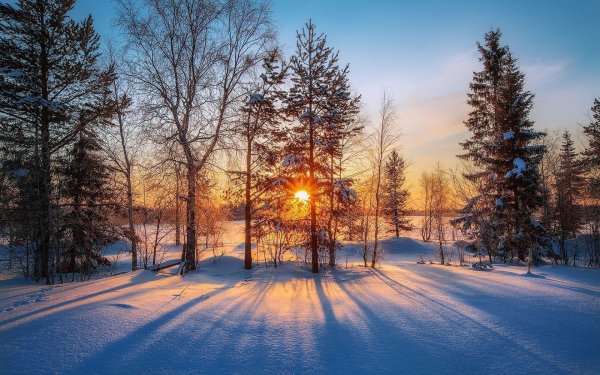 Погода зима