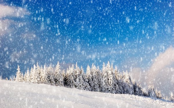 Погода зима