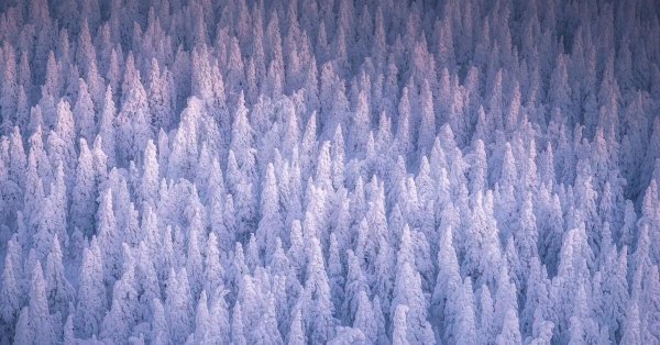 Погода зима