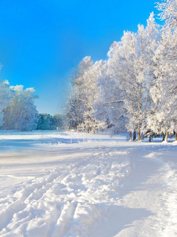 Погода зима