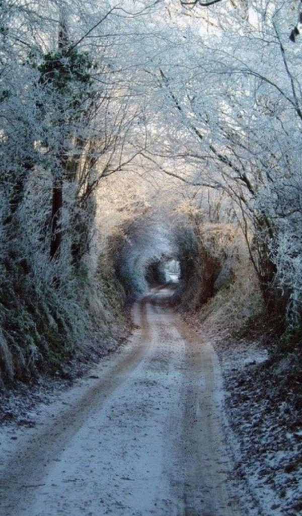 Зима дорога