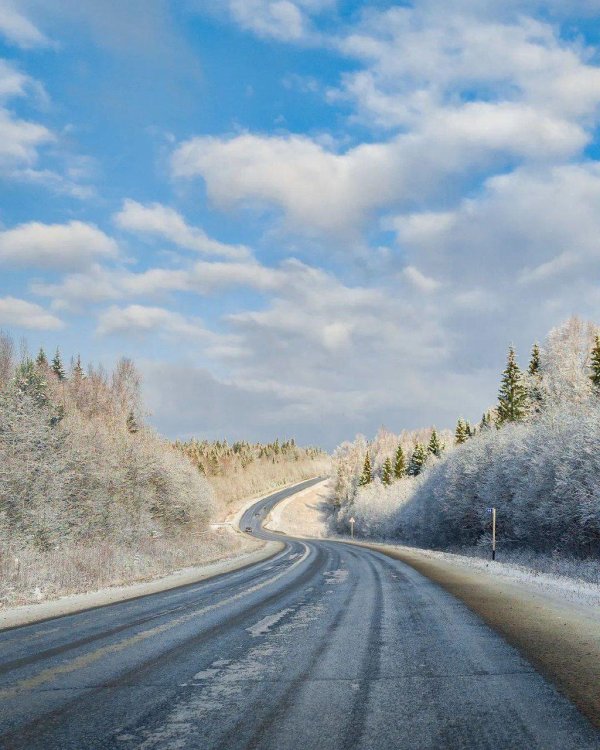 Зима дорога