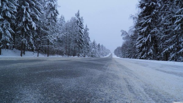 Зима дорога