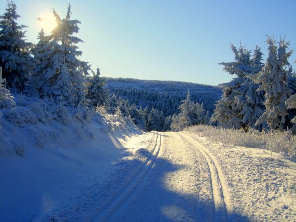 Зима дорога