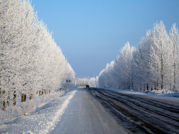 Зима дорога