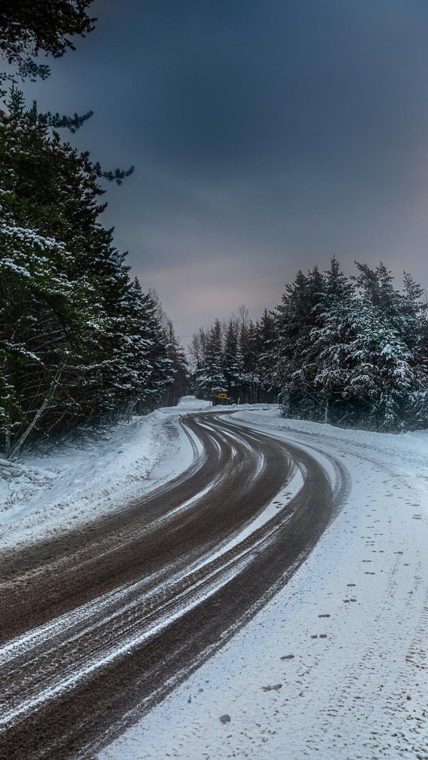 Зима дорога
