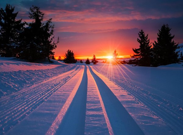 Зима дорога