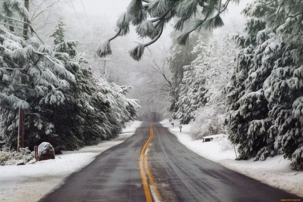 Зима дорога