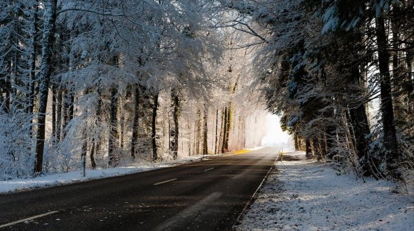 Зима дорога