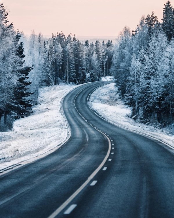 Зима дорога