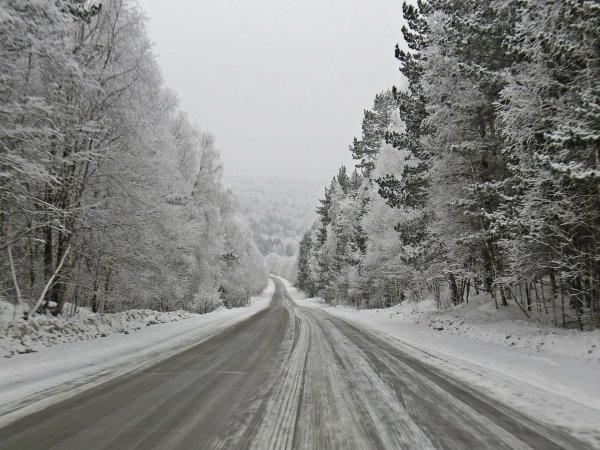 Зима дорога