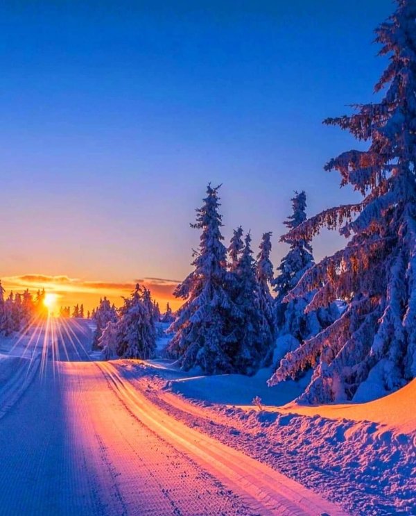 Зима дорога