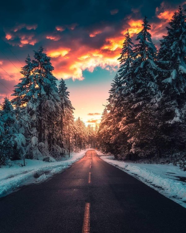 Зима дорога