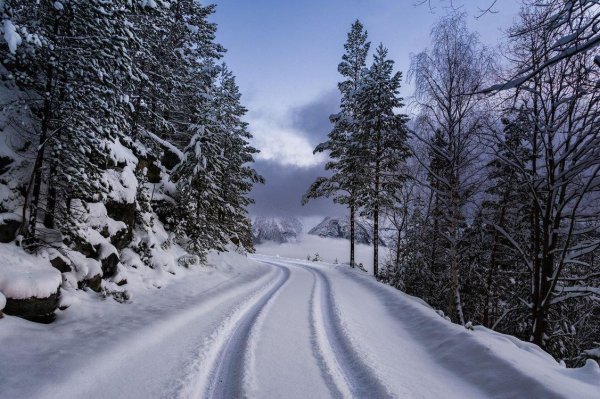 Зима дорога