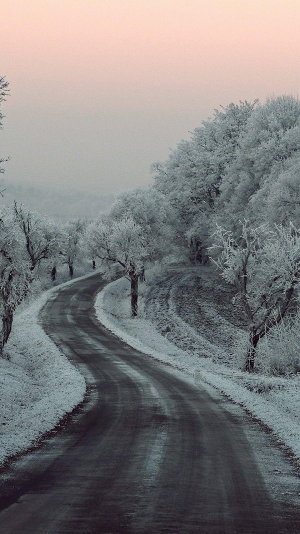 Зима дорога