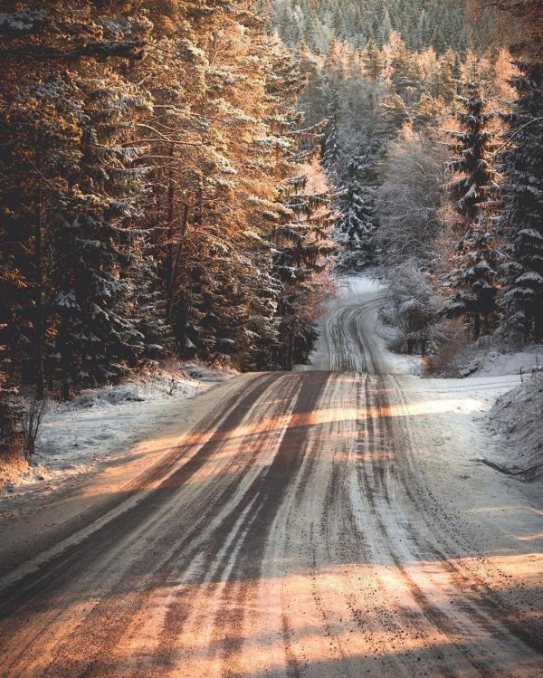 Зима дорога