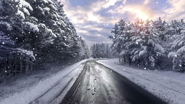 Зима дорога