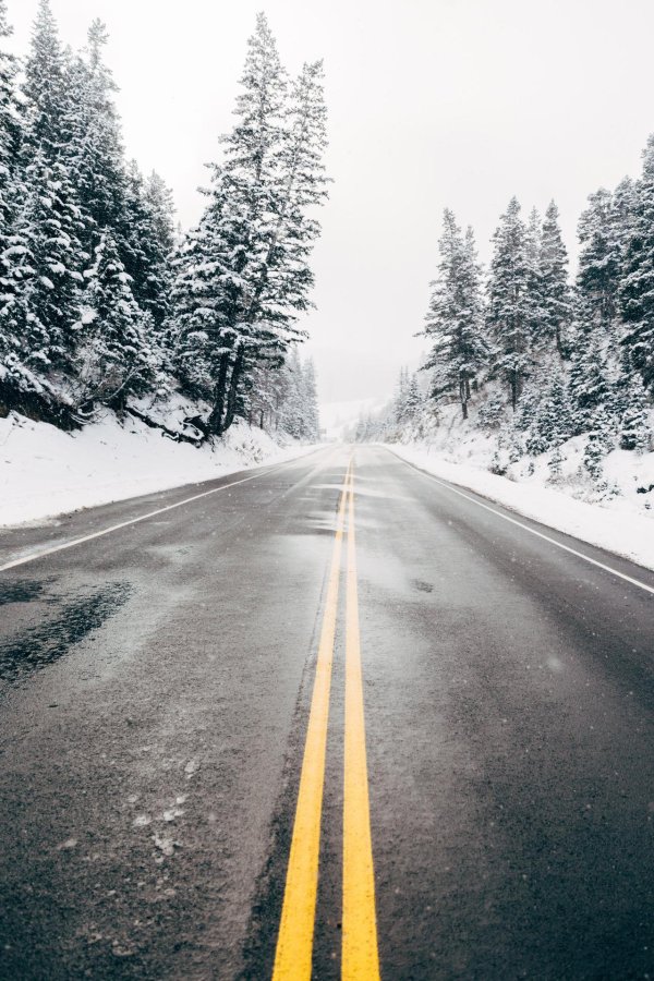 Зима дорога