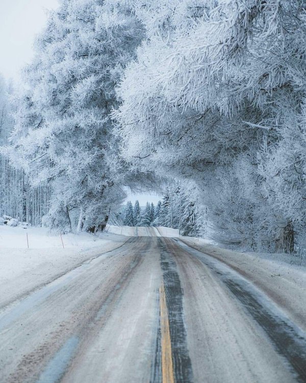 Зима дорога