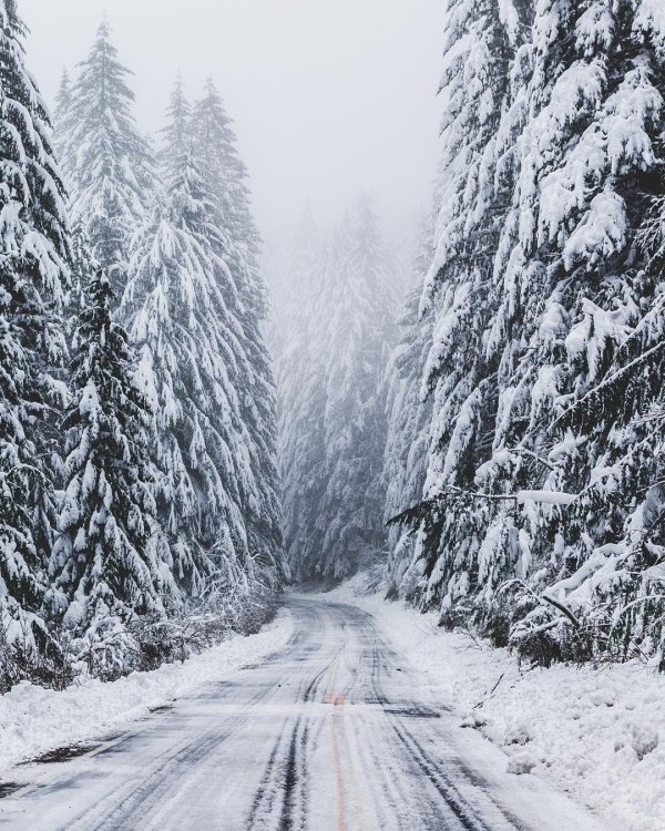 Зима дорога