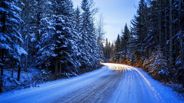 Зима дорога
