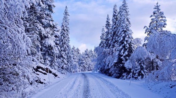 Зима дорога