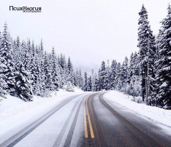 Зима дорога