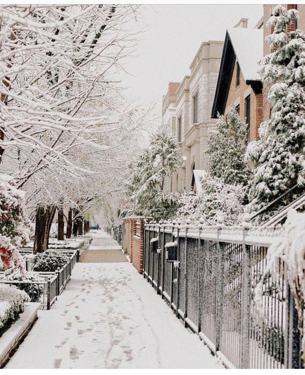 Эстетика зима