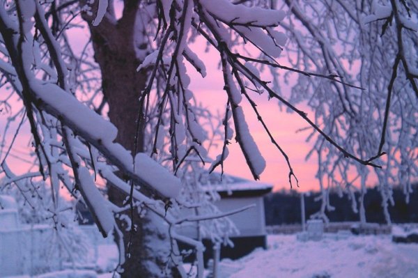 Эстетика зима