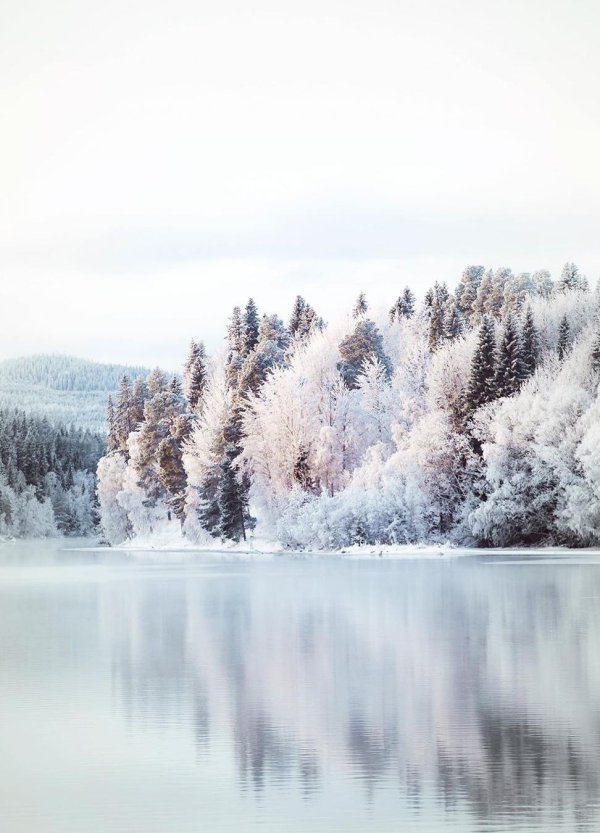 Эстетика зима