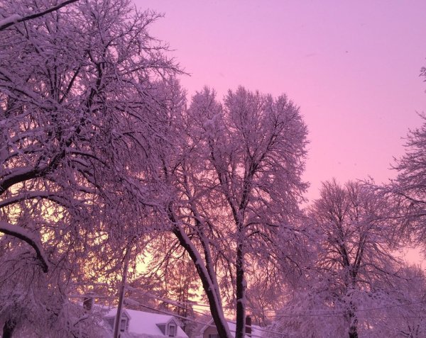 Эстетика зима