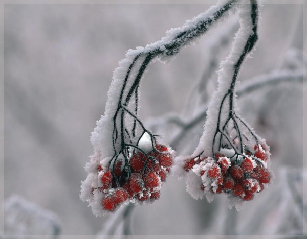 Эстетика зима