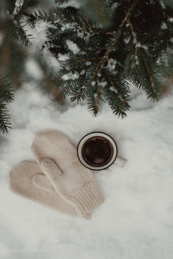 Эстетика зима