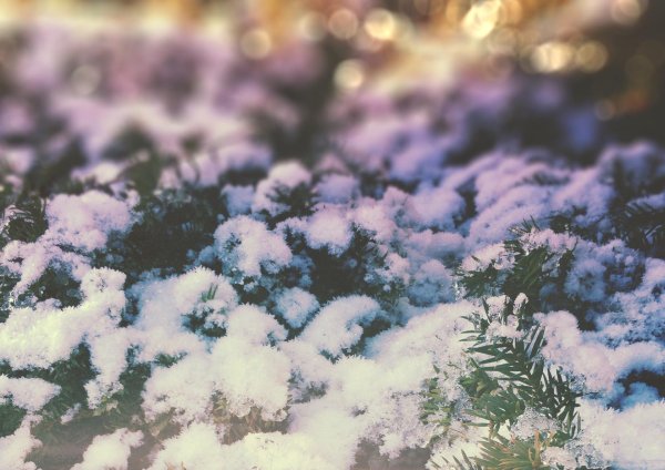 Эстетика зима