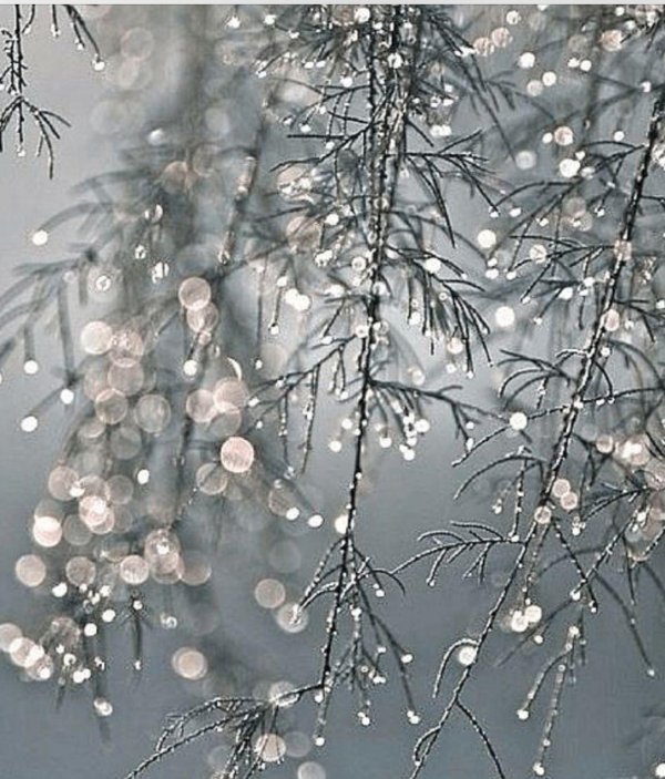 Эстетика зима