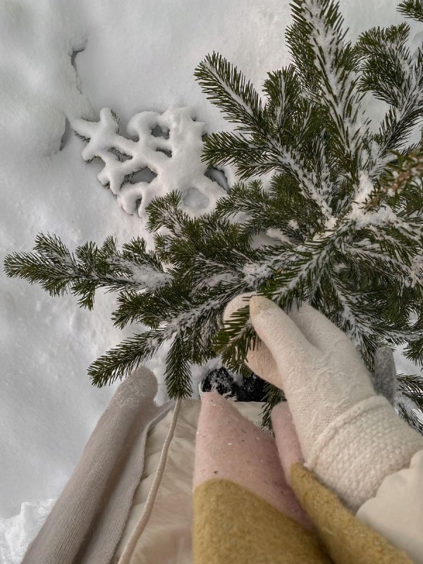 Эстетика зима