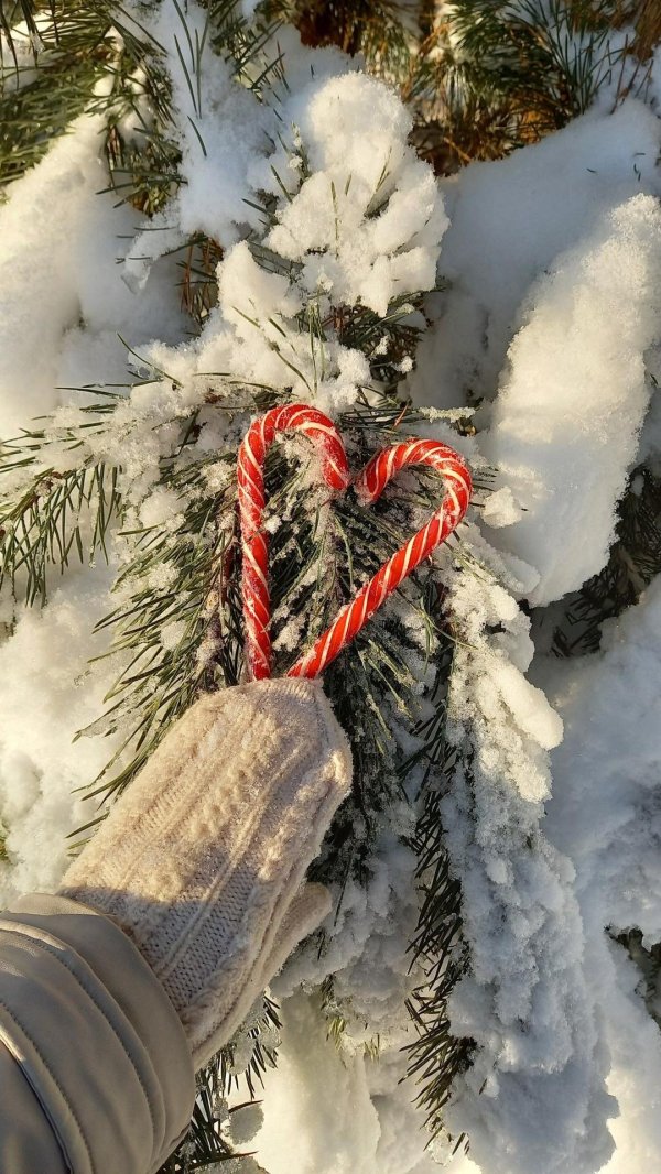 Эстетика зима