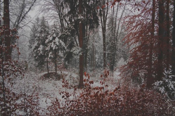 Эстетика зима