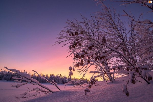 Эстетика зима