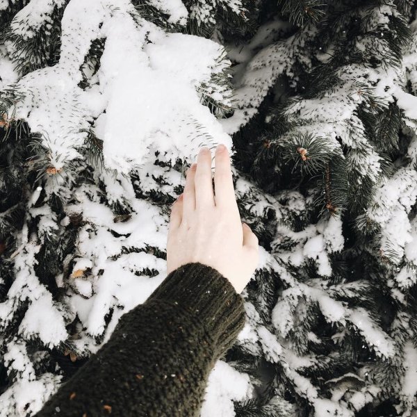 Эстетика зима