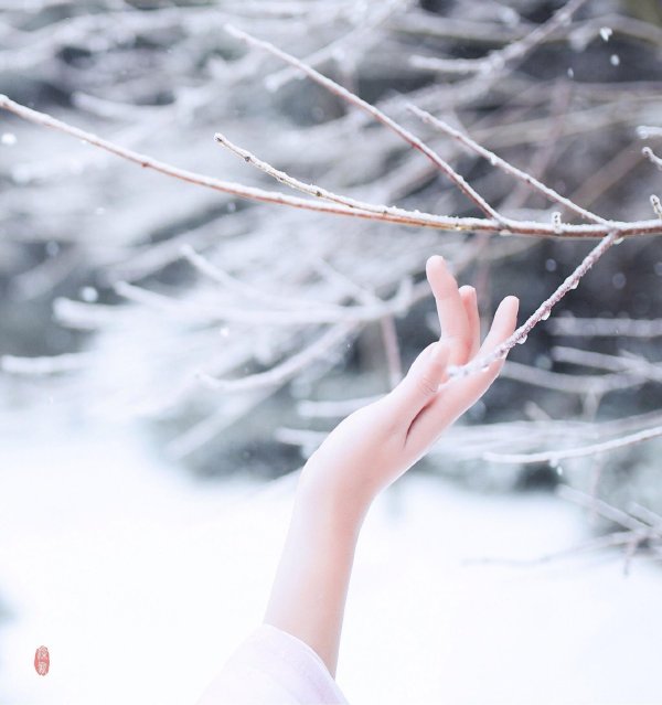 Эстетика зима