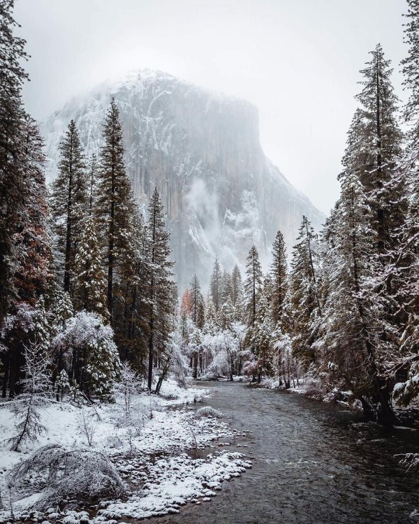 Эстетика зима