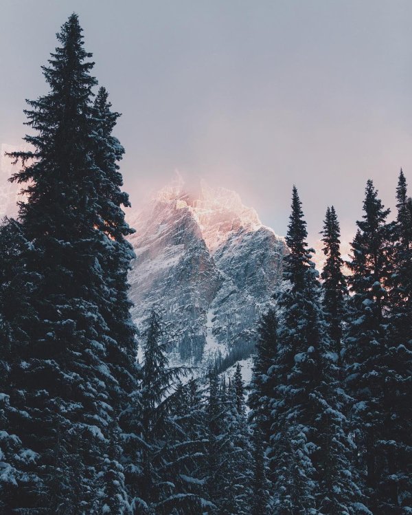 Эстетика зима